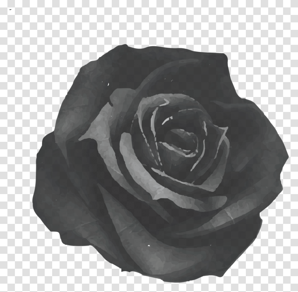 Black Rose Tavern Black Rose, Flower, Plant, Blossom Transparent Png