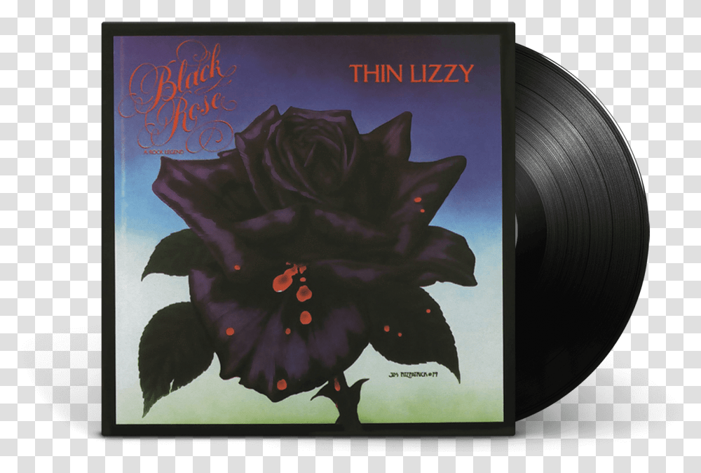 Black Rose Thin Lizzy Lp, Disk, Dvd Transparent Png