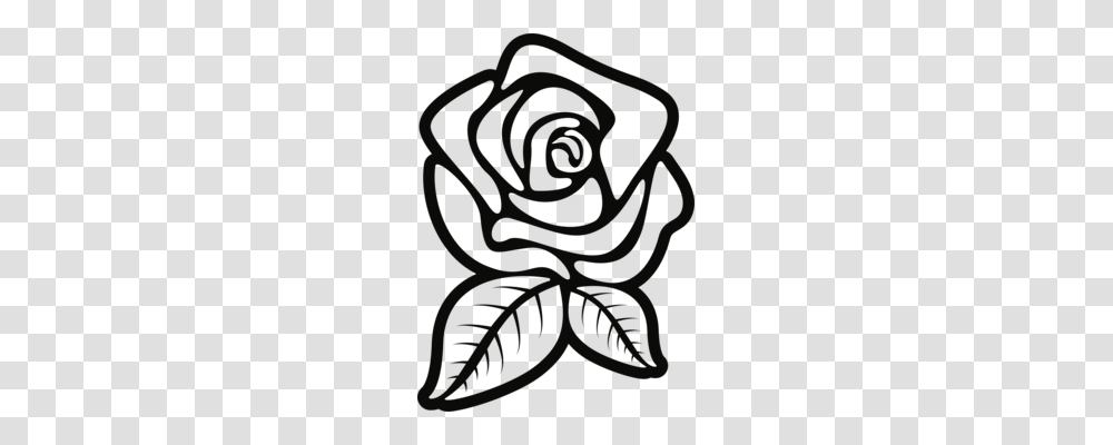 Black Rose White Download, Plant, Wasp, Bee Transparent Png