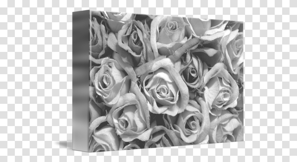 Black Roses By Simon Steiner Black Roses, Plant, Flower, Blossom, Flower Bouquet Transparent Png