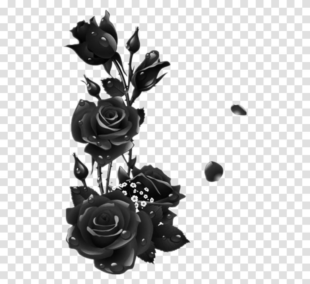 Black Roses Flower Frame Free Download Download Black Rose, Plant, Blossom, Graphics, Art Transparent Png