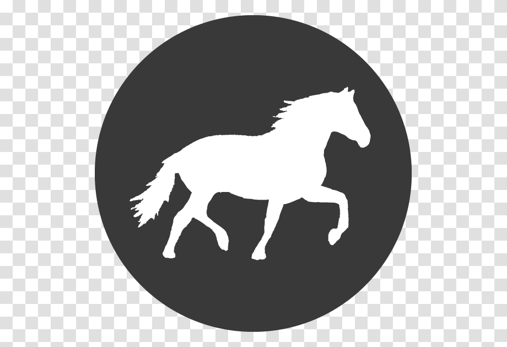 Black Round Twitter, Mammal, Animal, Horse, Stencil Transparent Png