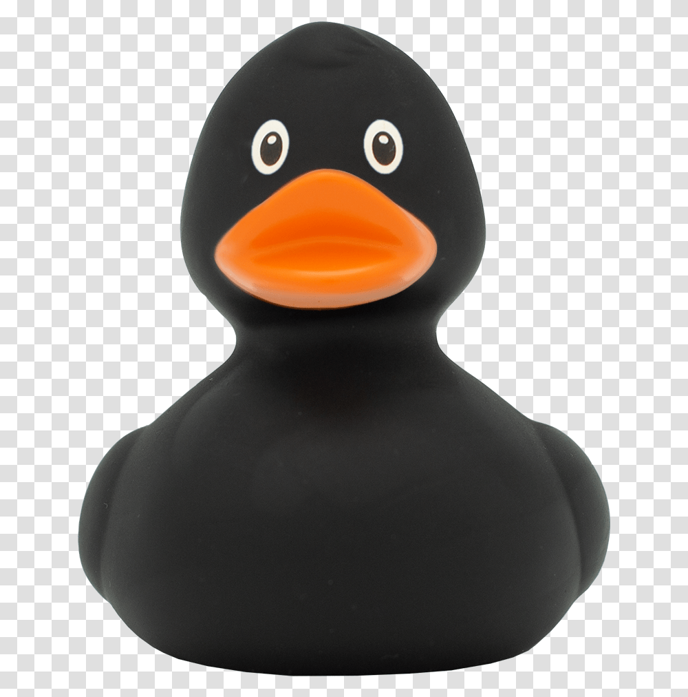 Black Rubber Duck, Penguin, Bird, Animal, King Penguin Transparent Png
