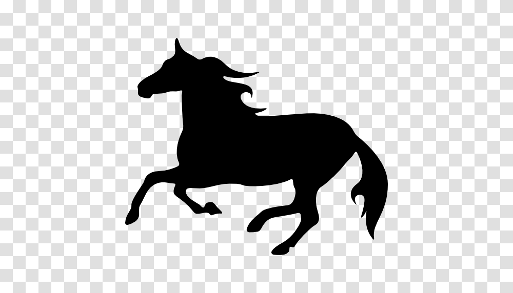 Black Running Animals Horses Silhouette Horse One, Gray, World Of Warcraft Transparent Png