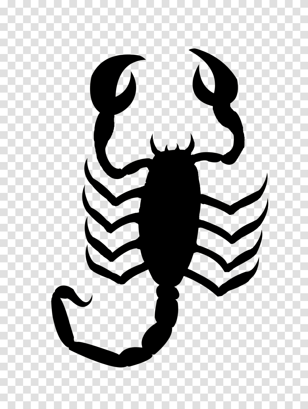 Black Scorpio Free Download Arts, Scorpion, Invertebrate, Animal, Stencil Transparent Png