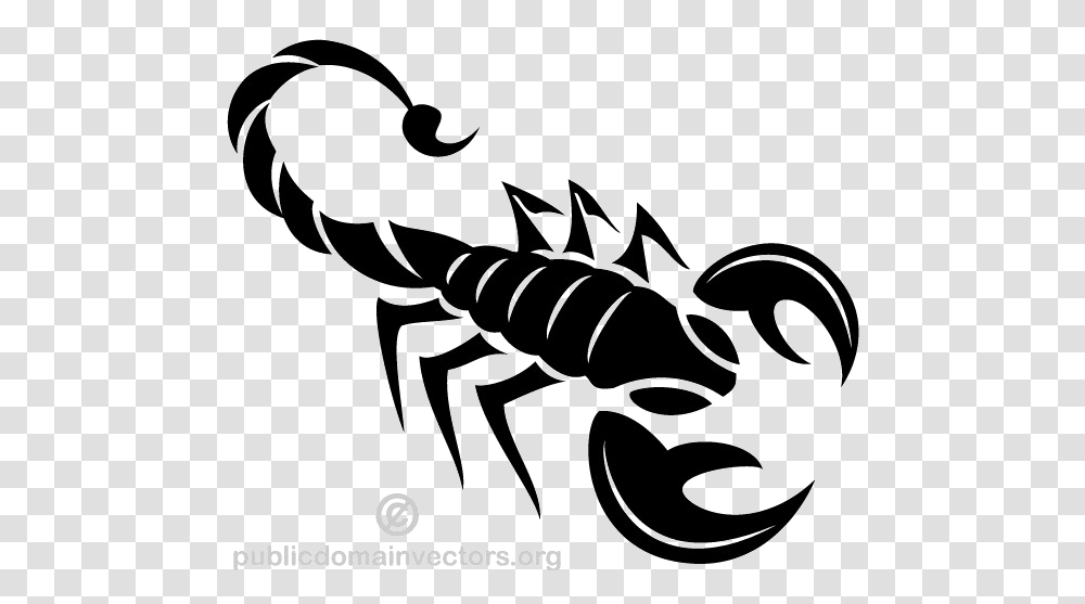 Black Scorpio Image Background Scorpion Clipart, Spider Web, Text, Bowl Transparent Png