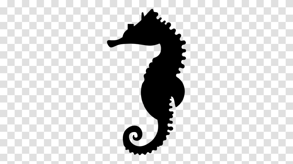 Black Seahorse, Outdoors, Nature Transparent Png