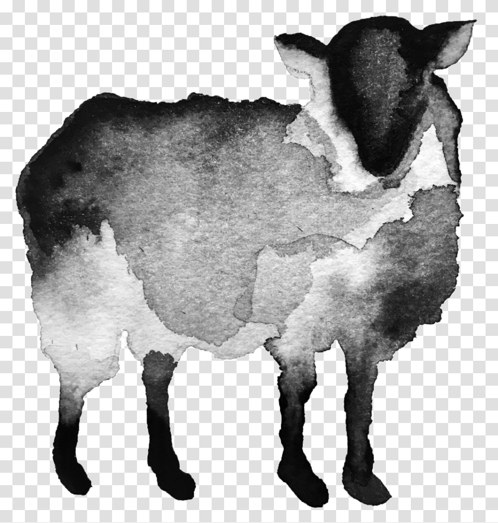 Black Sheep Copy Black Sheep, Mammal, Animal, Painting Transparent Png