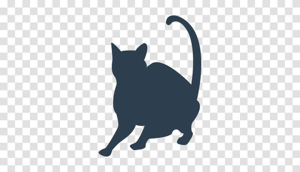 Black Shorthair Cat Silhouette, Pet, Mammal, Animal, Black Cat Transparent Png