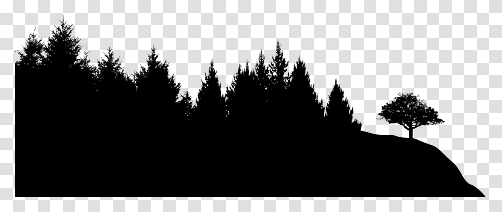 Black Sileohuette Painting Tree Forest Silhouette Background, Plant, Fir, Abies, Pine Transparent Png