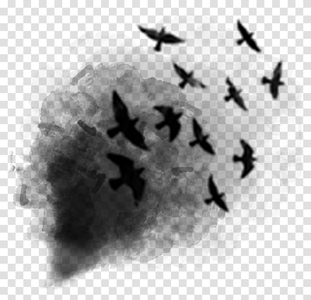 Black Smoke Birds Afterdark Ftestickers Smoke Bird, Gray, World Of Warcraft Transparent Png