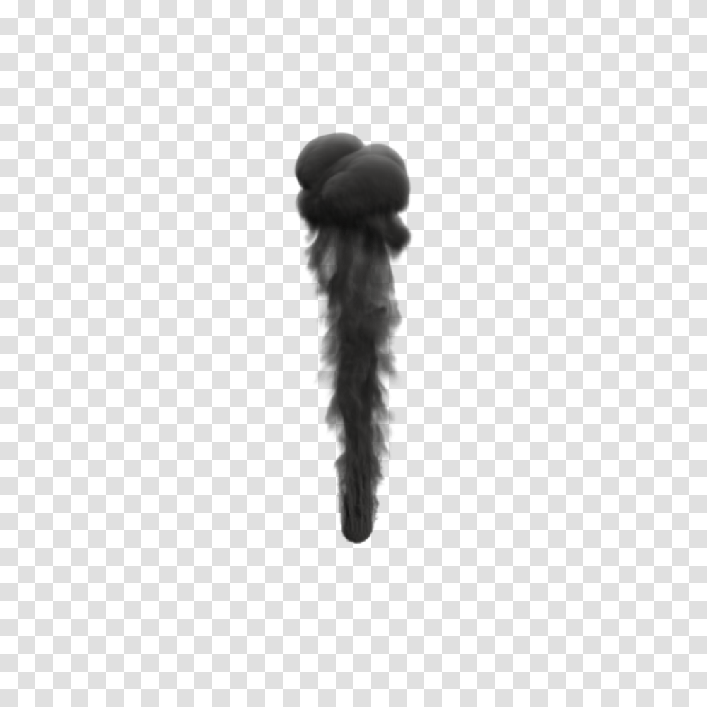 Black Smoke, Nature, Outdoors, Insect, Invertebrate Transparent Png