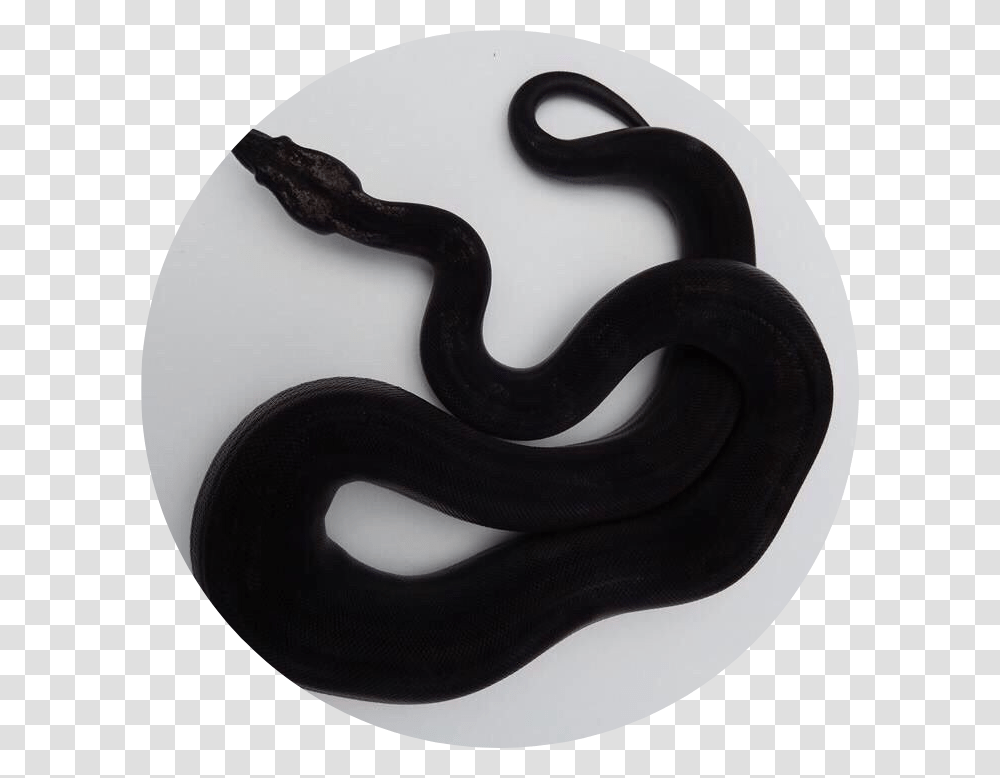 Black Snake Clipart Mood Board Of Snake, Sculpture, Statue, Mustache, Smoke Pipe Transparent Png