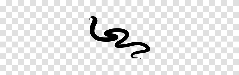 Black Snake Icon, Gray, World Of Warcraft Transparent Png