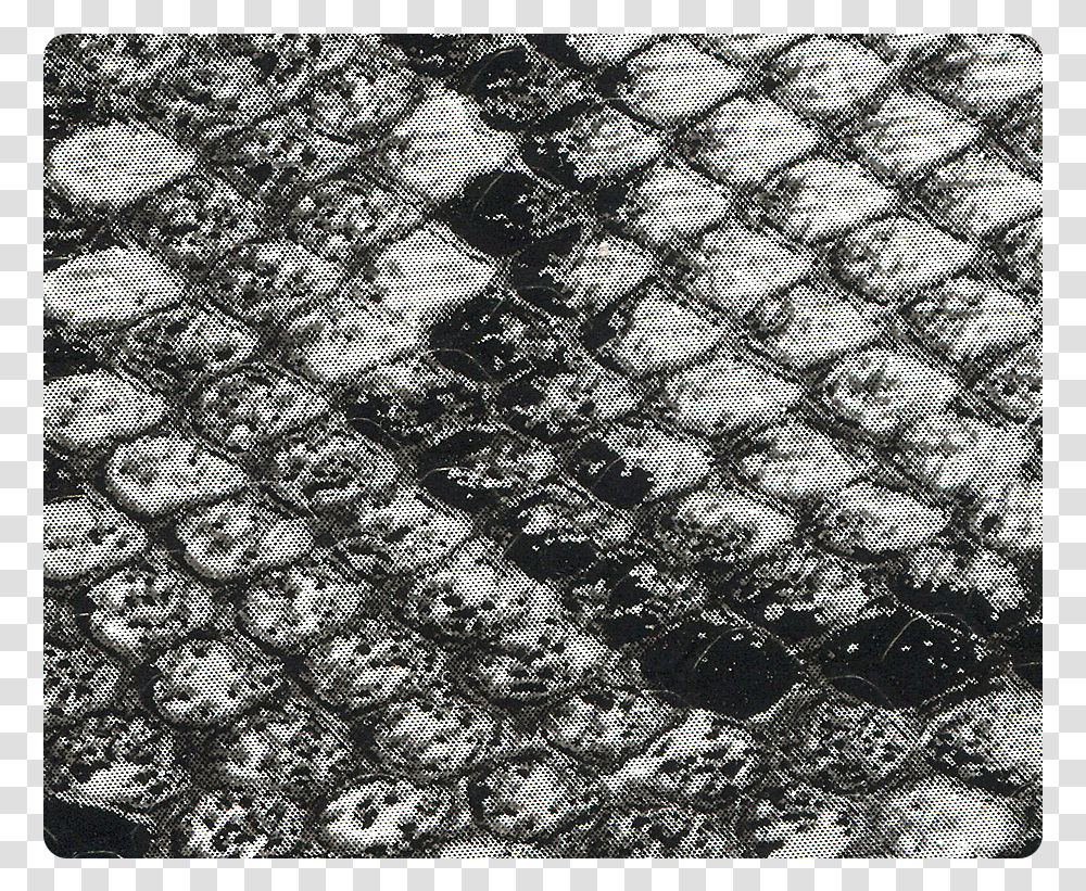 Black Snake Pu Monochrome, Rug, Lace, Texture Transparent Png