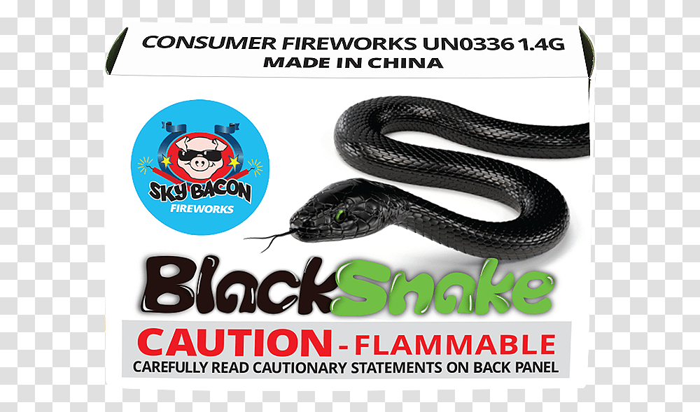 Black Snakes Sky Bacon Fireworks Spirit Of 76, Reptile, Animal, Cobra, Poster Transparent Png