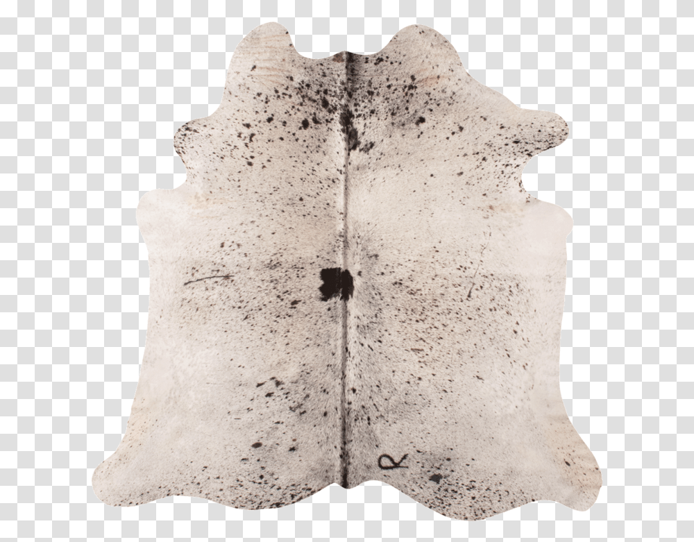 Black Speckle Leather, Fossil, Soil, Person, Human Transparent Png