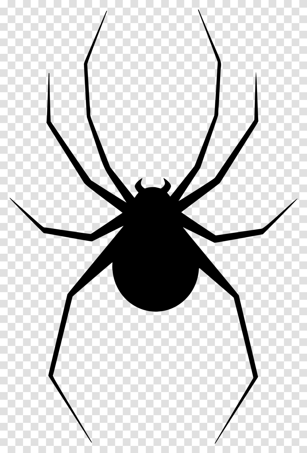 Black Spider Free Download Arts, Gray, World Of Warcraft Transparent Png