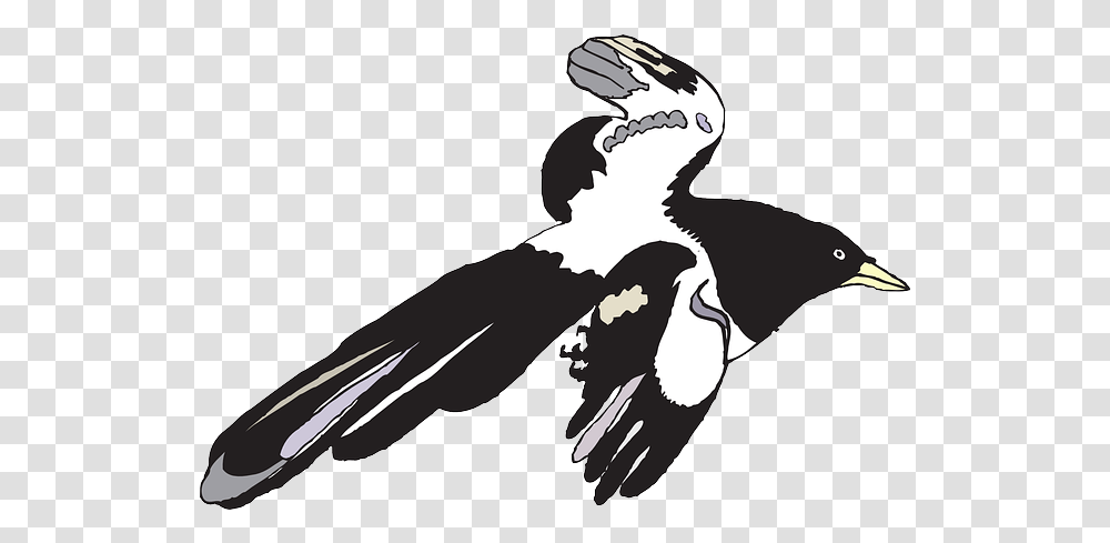 Black Spread White Bird Flying Wings Feathers Public Gambar Mentahan, Animal, Person, Silhouette, Stencil Transparent Png