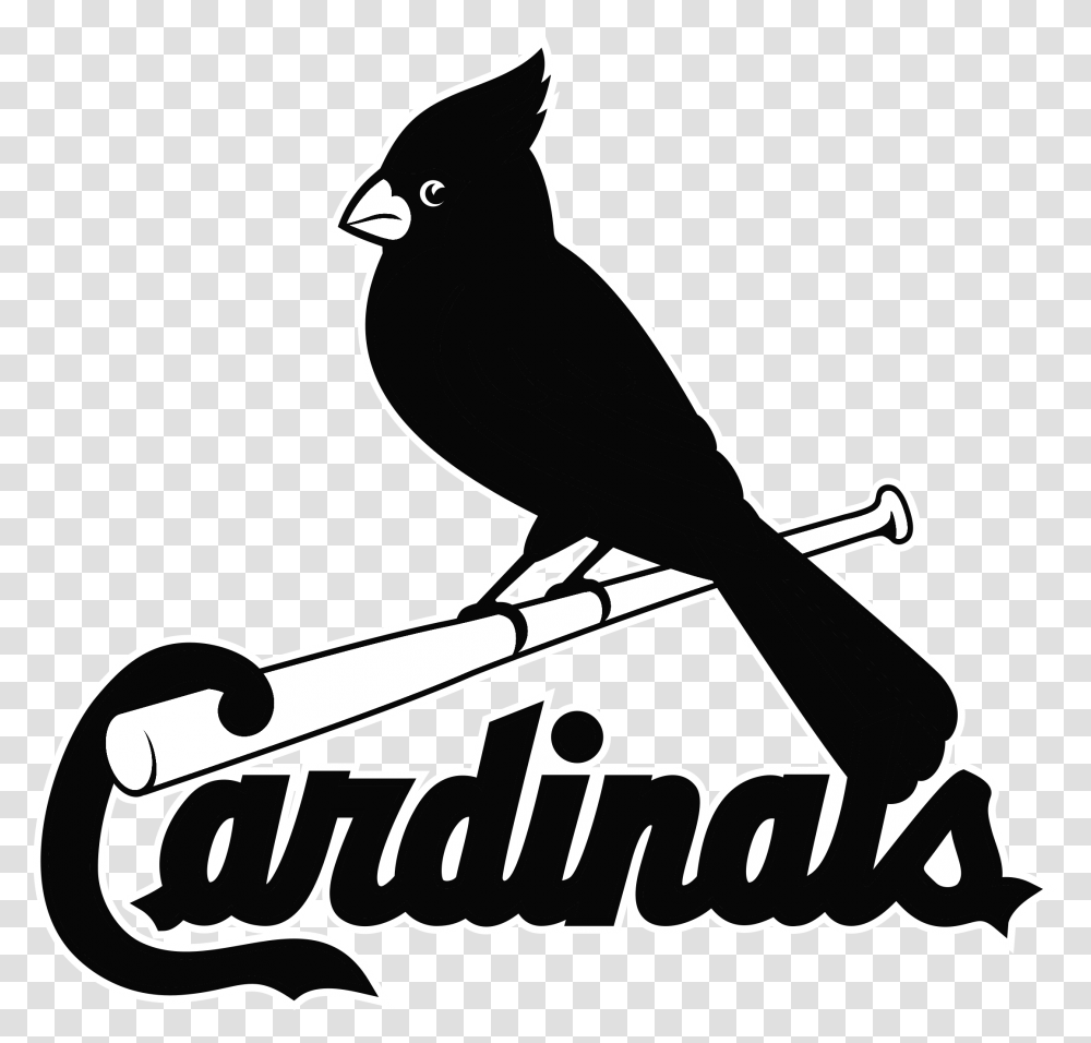 Black St Louis Cardinals Logo, Stencil, Silhouette, Jay, Bird Transparent Png