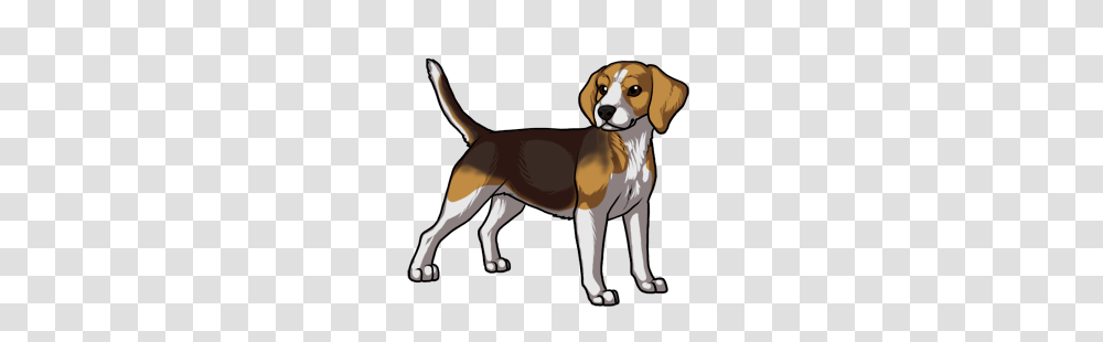 Black Star Kennels Free Online Dog Game, Hound, Pet, Canine, Animal Transparent Png