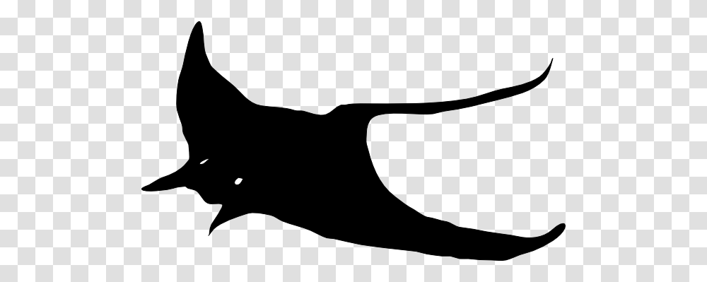 Black Stingray Clip Art, Silhouette, Cat, Mammal, Animal Transparent Png