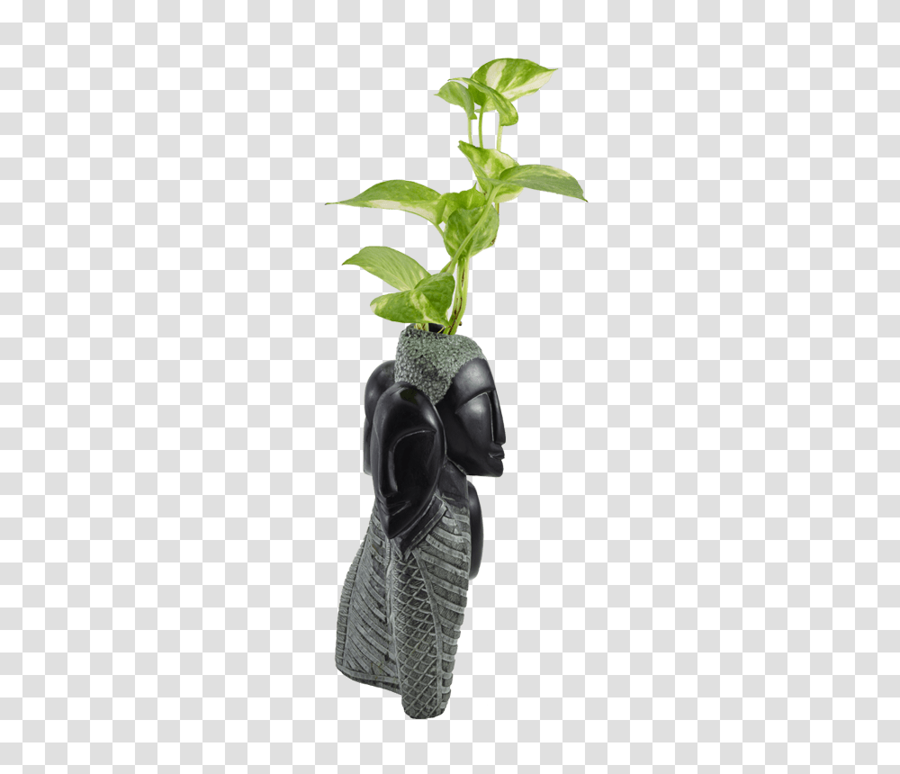 Black Stone Flower Vase, Plant, Bamboo, Sprout, Leaf Transparent Png