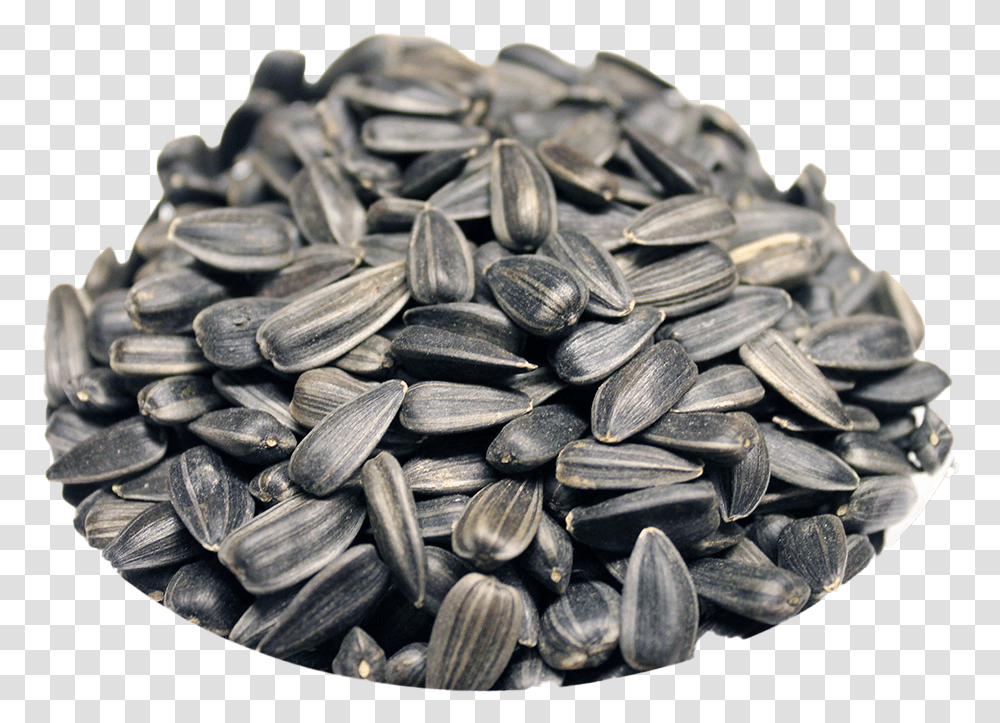 Black Sunflower Seeds Download Free Play Sunflower Seed, Plant, Produce, Food, Grain Transparent Png