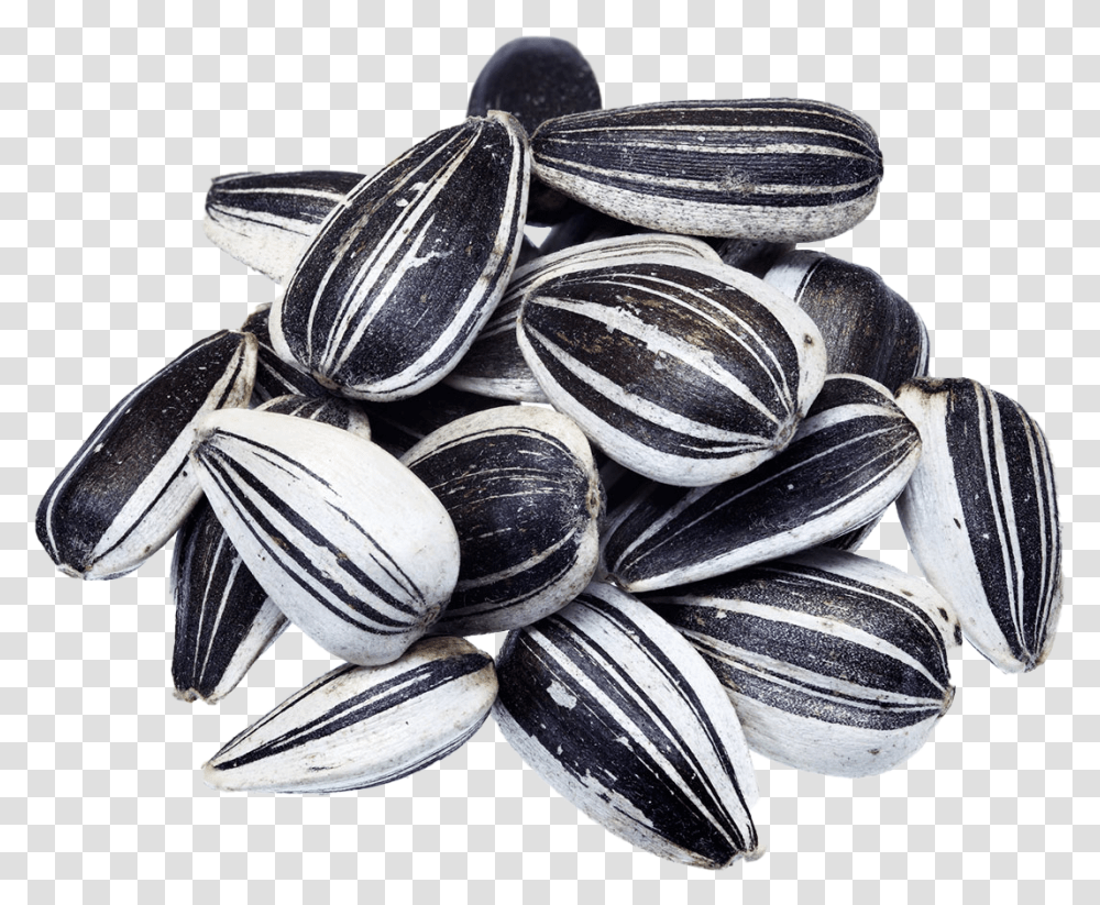 Black Sunflower Seeds Images Hd Play Sunflower Seeds Black And White, Plant, Grain, Produce, Vegetable Transparent Png