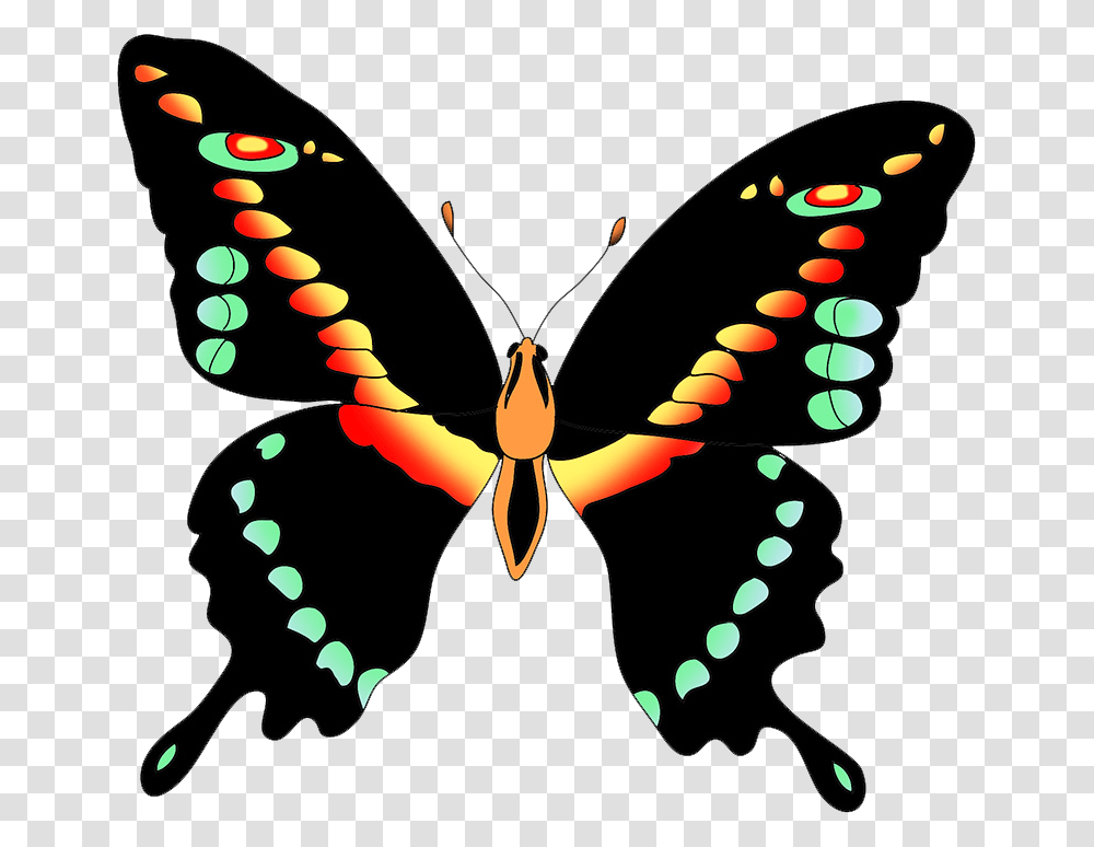 Black Swallow Tail Butterfly Clipart Colorful Beautiful Butterfly Butterfly Clipart, Pattern, Insect, Invertebrate Transparent Png