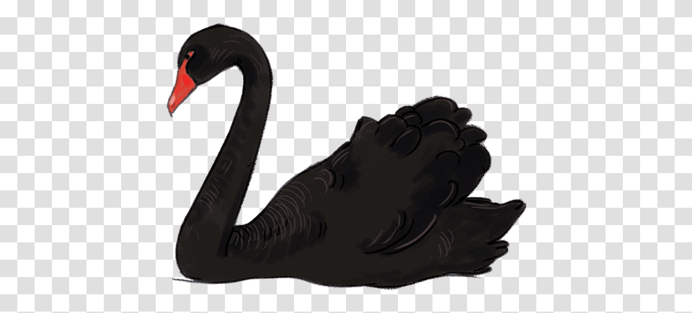 Black Swan Black Swan Clipart, Shoe, Footwear, Apparel Transparent Png