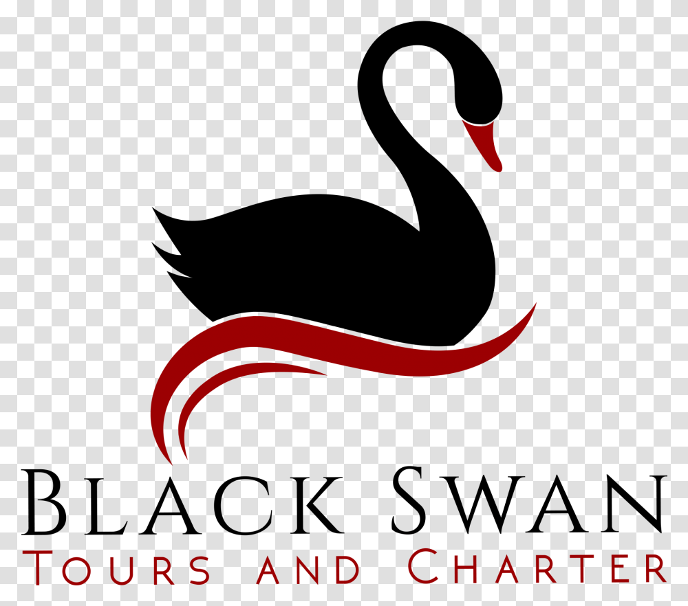 Black Swan Download Black Swan, Label Transparent Png
