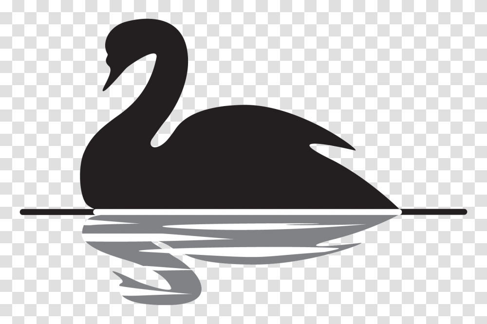 Black Swan Event Picture, Animal, Bird, Waterfowl, Silhouette Transparent Png