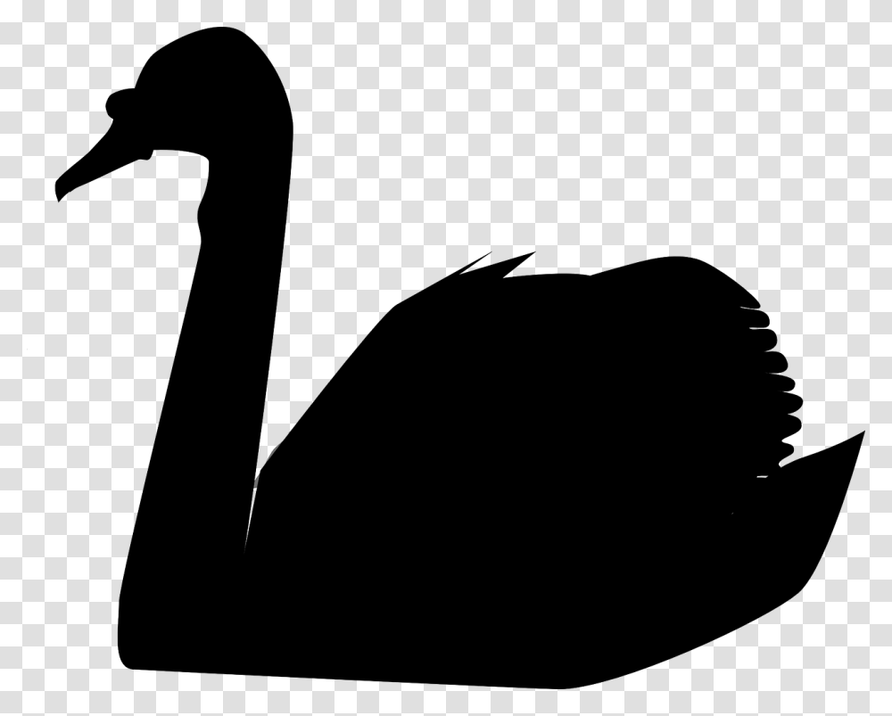 Black Swan In The Data Center Or How To Prepare For A Disaster, Gray, World Of Warcraft Transparent Png