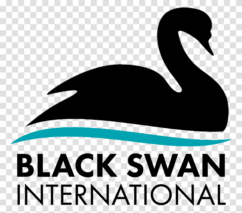 Black Swan International Duck, Toothbrush, Tool Transparent Png