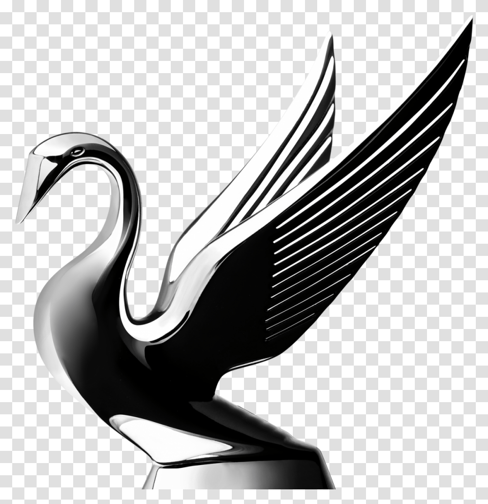 Black Swan, Sink Faucet, Logo, Trademark Transparent Png