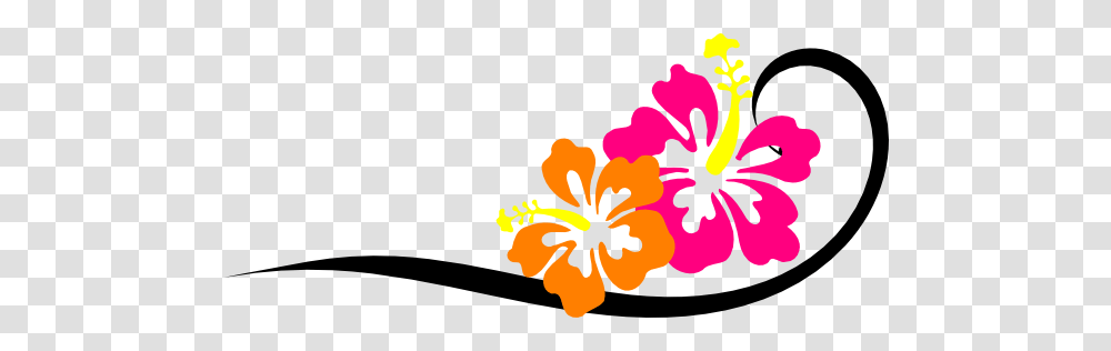 Black Swirl Bright Hibiscus Clip Arts For Web, Plant, Flower, Blossom, Pollen Transparent Png