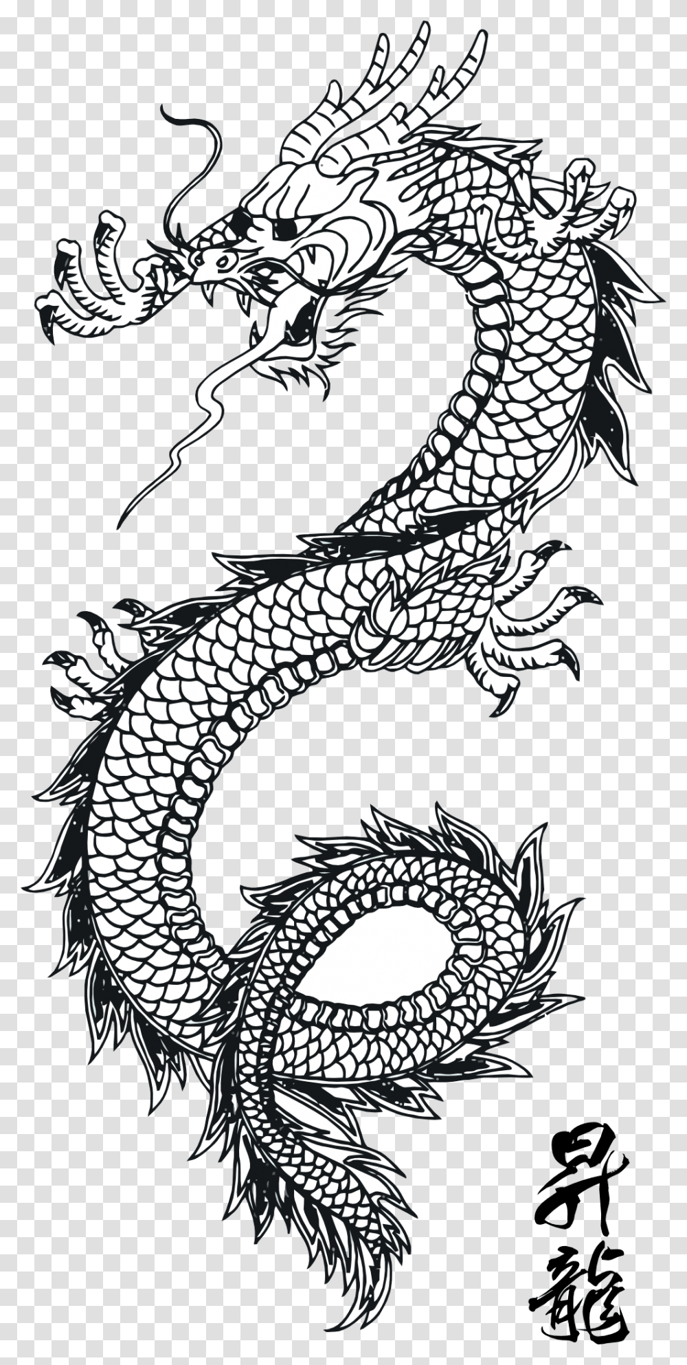Black Tattoo Dragon Images, Fantasy, Dinosaur, Reptile, Animal Transparent Png