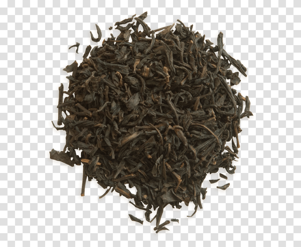 Black Tea Black Tea, Animal, Soil, Invertebrate, Tobacco Transparent Png