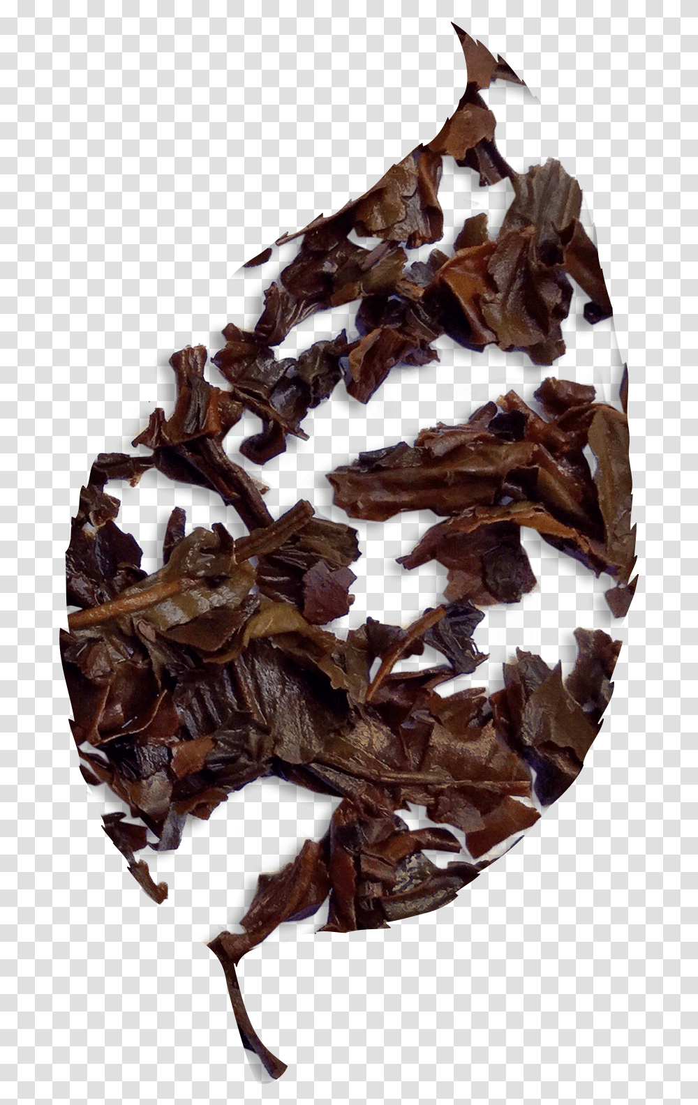 Black Tea Leaves Download Chocolate, Leaf, Plant, Tree, Maple Transparent Png