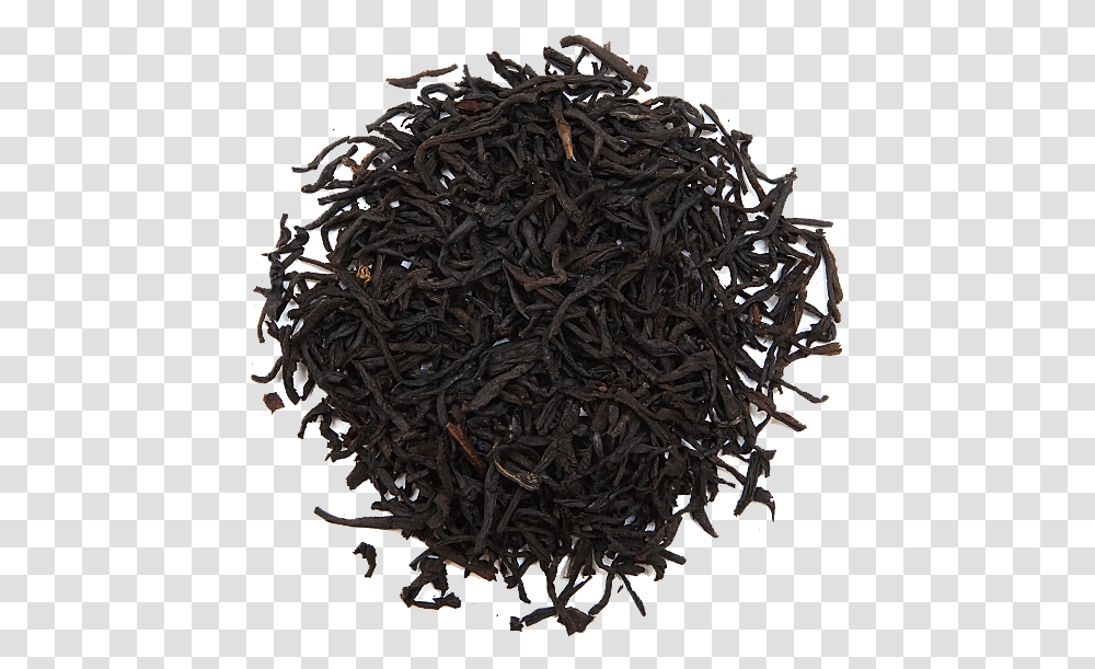 Black Tea Pics Black Tea, Chandelier, Lamp, Crystal, Invertebrate Transparent Png