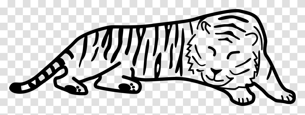 Black Tiger White Tiger Drawing Cat Bengal Tiger, Gray, World Of Warcraft Transparent Png