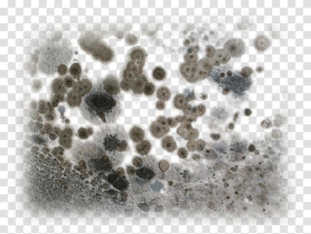 Black Toxic Mold, Rug, Foam Transparent Png