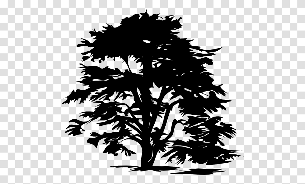 Black Tree Clipart Free, Silhouette, Plant, Stencil, Christmas Tree Transparent Png