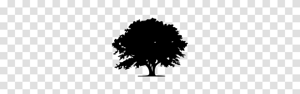 Black Tree Icon, Gray, World Of Warcraft Transparent Png