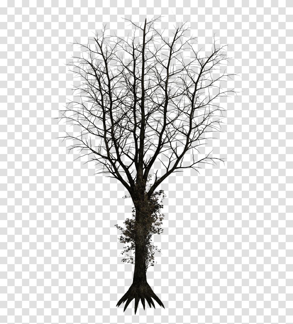 Black Trees Dark Trees, Plant, Tree Trunk, Cross Transparent Png