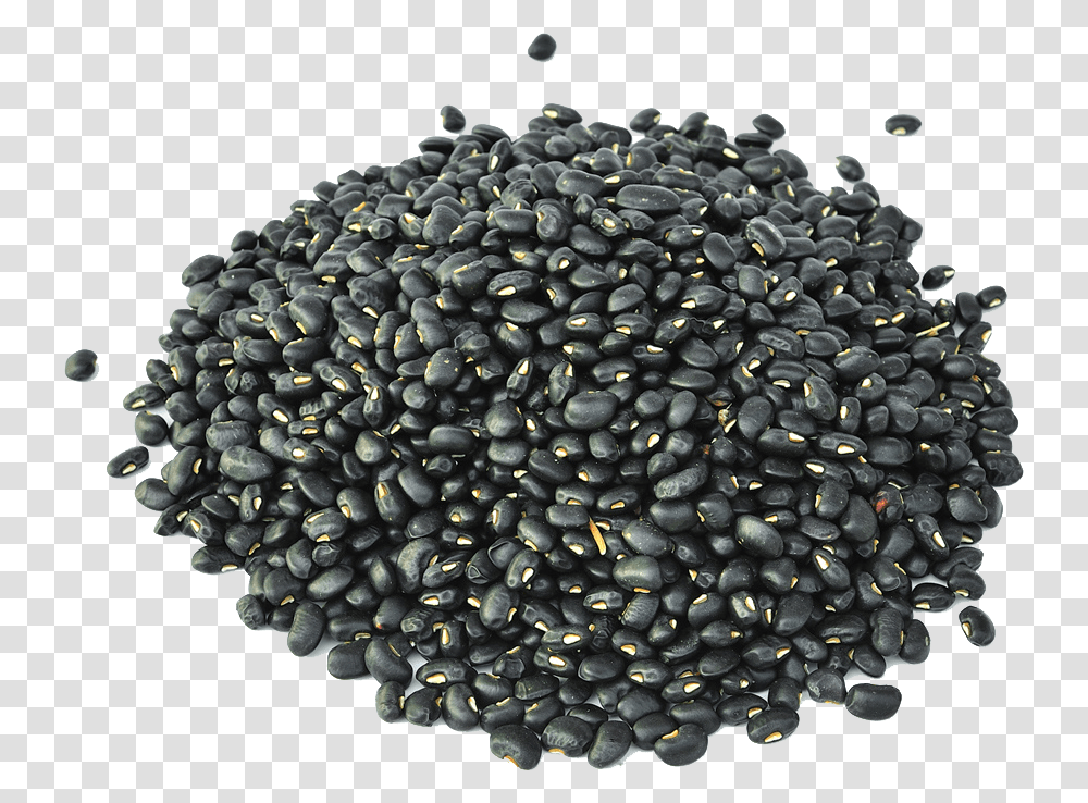 Black Turtle Bean Minestrone Sprouting Frijoles Negros, Plant, Food, Vegetable, Sesame Transparent Png