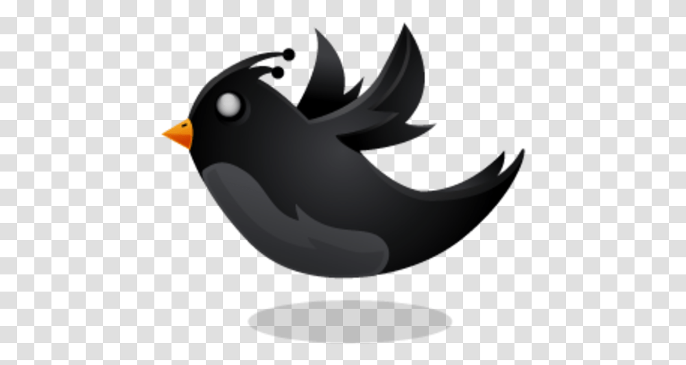 Black Twitter Bird, Finch, Animal, Beak, Blackbird Transparent Png