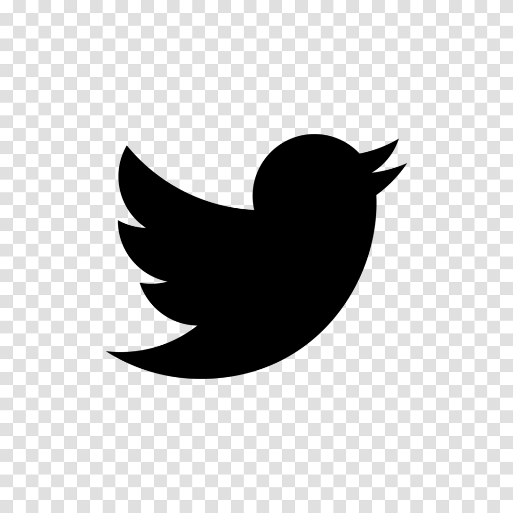 Black Twitter Clipart, Gray, World Of Warcraft Transparent Png