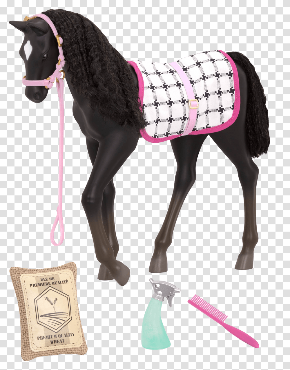 Black Velvet Foal Our Generation Foal, Horse, Mammal, Animal, Person Transparent Png